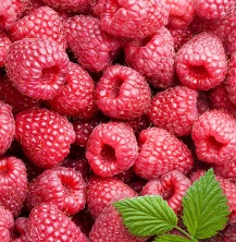 Rasberries, one of the best high fiber foods out there to get lean
